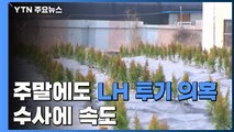 주말에도 이어지는 'LH 투기 의혹' 수사...소환조사 속도 / YTN