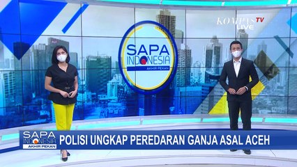 Detik-detik Bandar Narkoba Ganja asal Aceh Diringkus Polisi