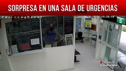 Sorpresa en sala de urgencias: un wallaby paseó en las instalaciones de un hospital