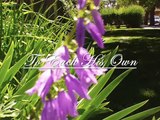 To Each His Own;  Rich Clark Music (cover)-- Piano [Rich Clark Music]