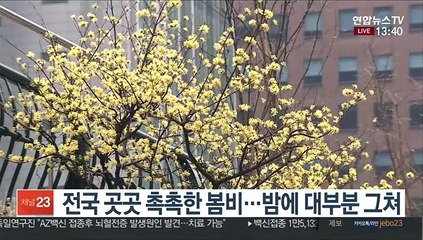 [날씨] 절기 '춘분'에 전국 봄비…한낮에도 서늘