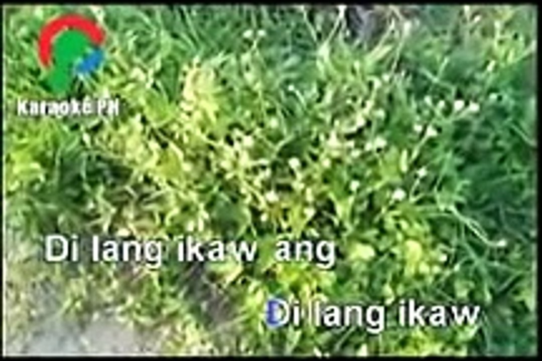 Di lang ikaw