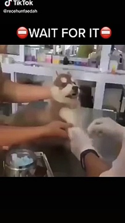 watch till end