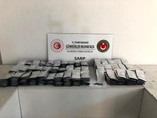 Sarp Sınır Kapısı'nda bir minibüste 771 bin 500 adet hibrit salatalık tohumu ele geçirildi