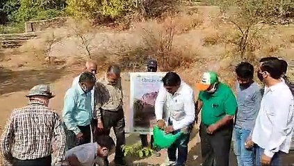 श्रद्धेय कुलिश जयंती पर राव जोधा प्रकृति उद्यान में हुआ पौधरोपण