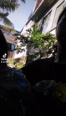 cocomelon ng baby ko