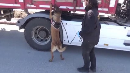 Tırın dorsesindeki çadıra gizlenen 32 kilo 450 gram esrar ele geçirildi