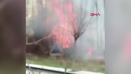 AMASYA 6 hayvanın telef olduğu yangında, yanan kaplumbağaya yanık kremi sürdüler