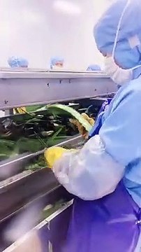 aloivera processing