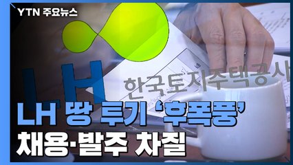 LH 땅 투기 '후폭풍'...채용 '안갯속'·발주 차질 / YTN