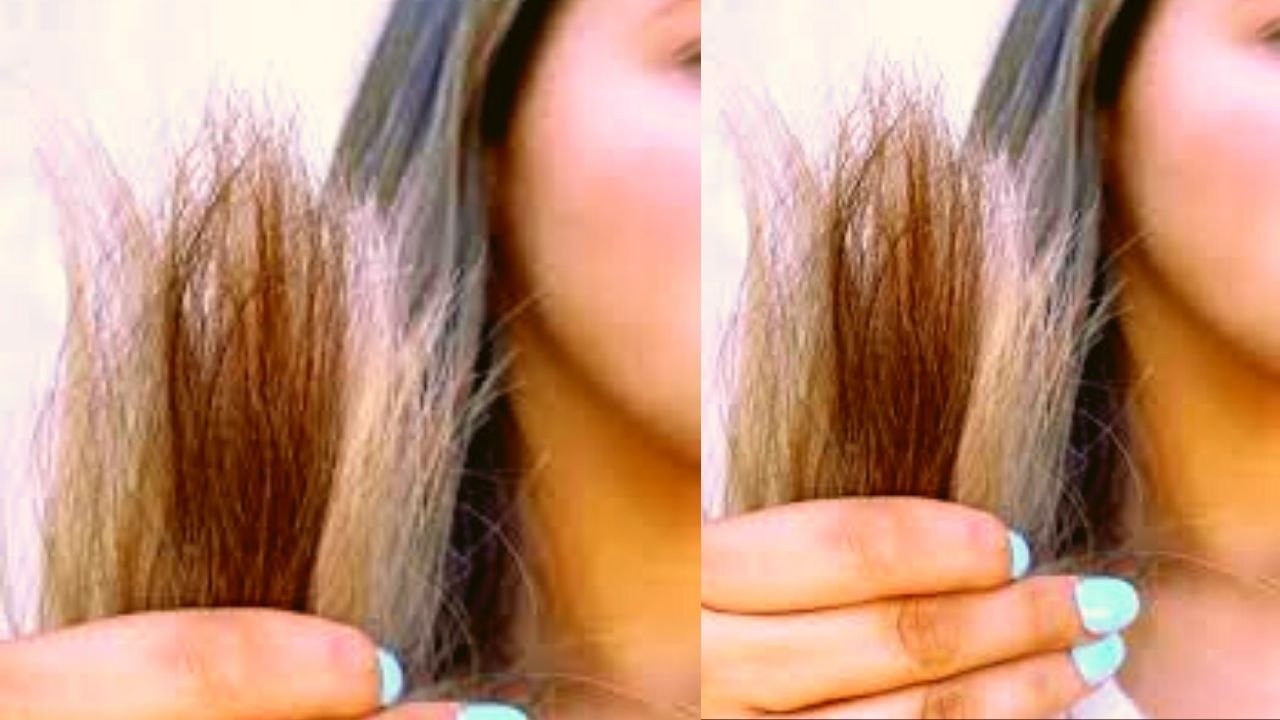 Split Ends: Aloe Vera Gel में मिलाएं ये 1 सस्ती...
