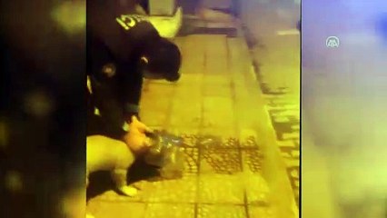KASTAMONU - Kafası bidona sıkışan köpek kurtarıldı