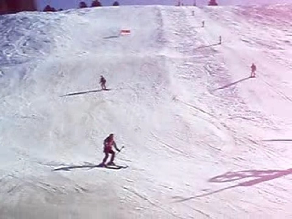 ALpe du Grand Serre 2008