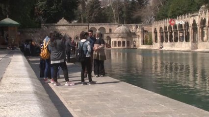 Şanlıurfa'da vaka sayılarının düşmesinde aşiretlerin etkisi