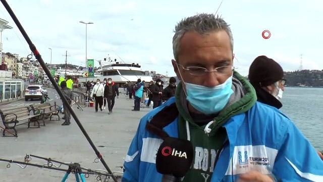 İstanbul Boğazı yine denizanası istilasına uğradı