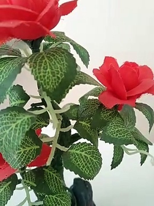 DISPLAY