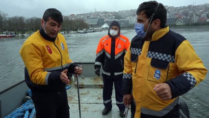 İSTANBUL - Haliç'teki Tavşan Adası'nda mahsur kalan köpek kurtarıldı