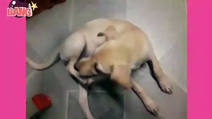 Hawakan mo hahahahaha