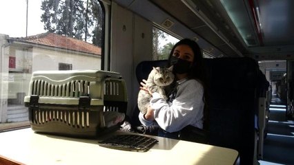 Mersin'de 1 yıl aradan sonra 3 kente tren seferleri başladı