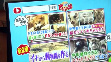 I LOVE みんなのどうぶつ園 2021年3月20日 新企画!動物園のリニューアルを一からお手伝い