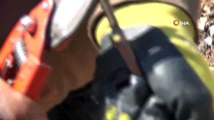 Kahramanmaraş’ta çiftçilerin bağ budama telaşı başladı