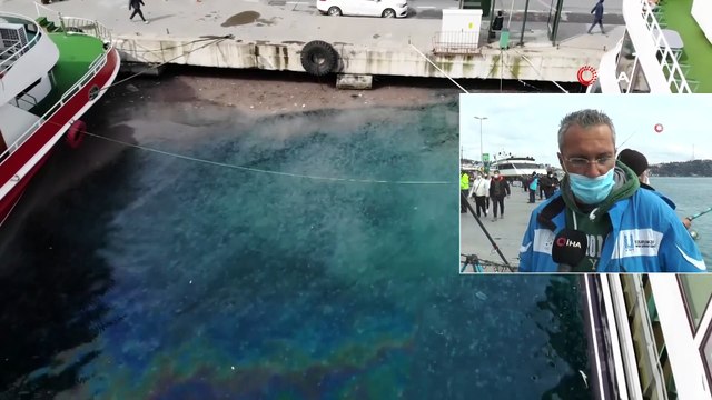 İstanbul Boğazı Yine Denizanası İstilasına Uğradı