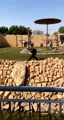 Like To Fight People Outside