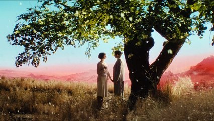 cineUBU - La tua passione per il cinema ha una nuova casa