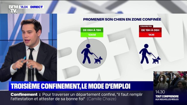 Puis-je promener mon chien à plus de 1 km de mon domicile en zone confinée ? BFMTV vous répond