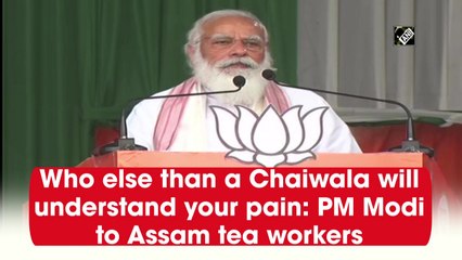 Who else than a chaiwala will understand your pain: PM Modi to Assam tea workers