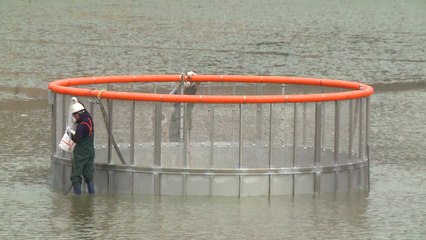 전국 최초 "사계절 산불진화" 담수용 저수조 / YTN