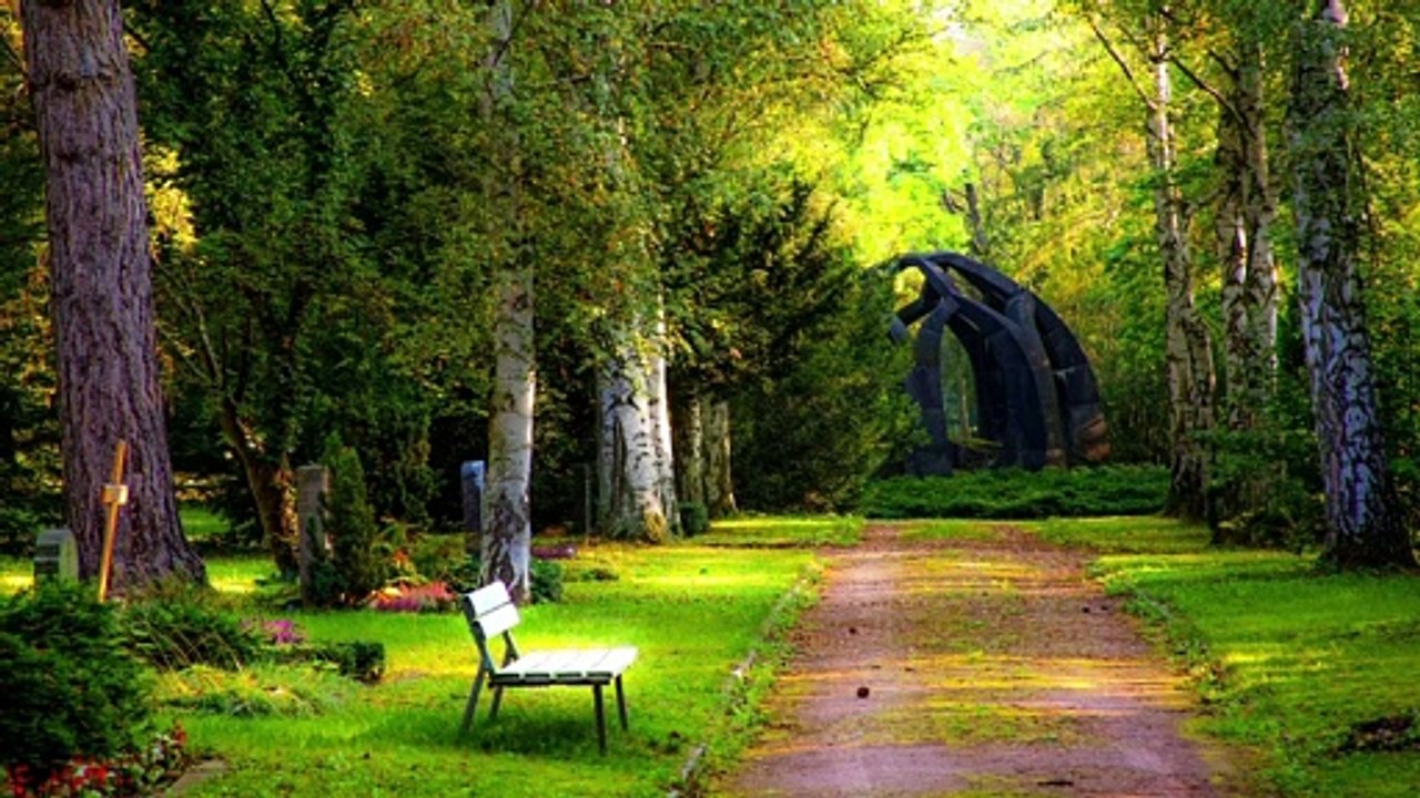 Beautiful Relaxing Music for Stress Relief | Relaxing Music 2021