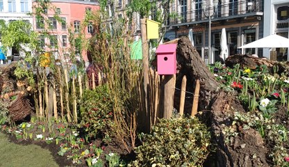 Mons festival de printemps