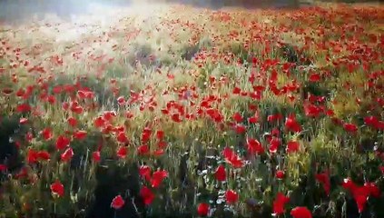 Relaxing||Meditation||Funny Music||Relaxing Meditation Music