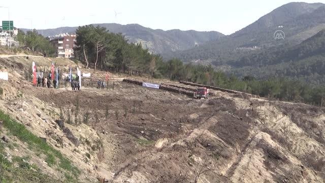 TOBB, geçen yıl yanan ormanlara 31 bin fidan dikti