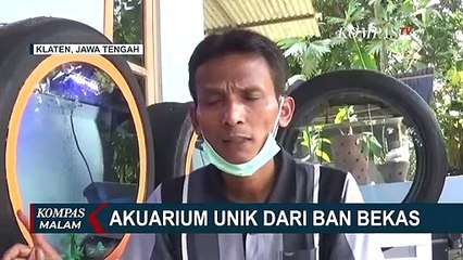 Kreatif! Pria Di Klaten Ciptakan Akuarium Unik dari Bahan Ban Bekas