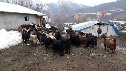 Hayvancılıkla Uğraşanlar, Kışın Zorlu Kısmını Geride Bıraktı