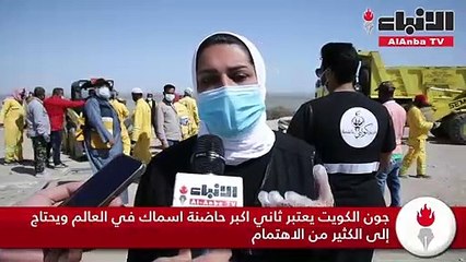 فريق «كويتي بالقمة» رفع 31 طناً من المخلفات بشاطئ الصليبخات