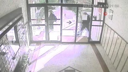 Kediye böyle tekme attı