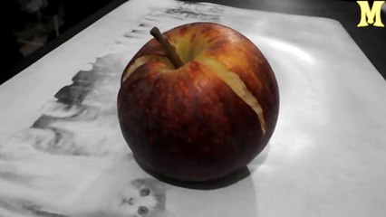 La nature est bien faite (y compris pour ma pomme)