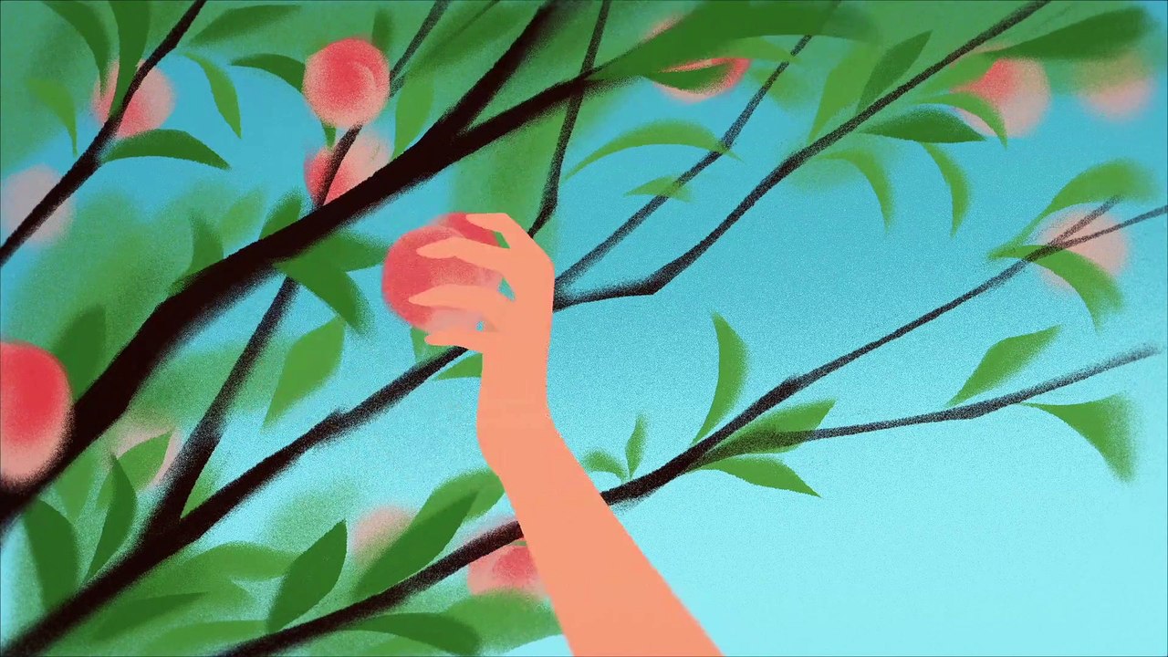 Polo&Pan - Feel Good