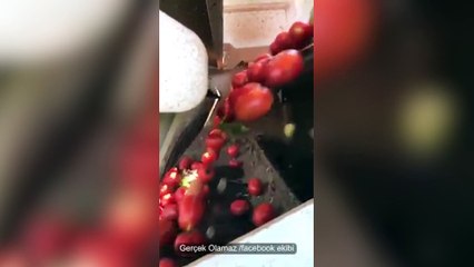 Hipnoz etkili renk ayırma makinesi