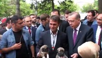 Erdoğan: Beni niye çekiyorsunuz, onu çekin
