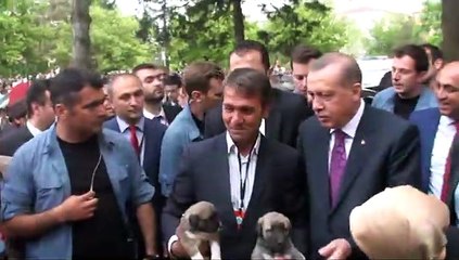 Erdoğan: Beni niye çekiyorsunuz, onu çekin