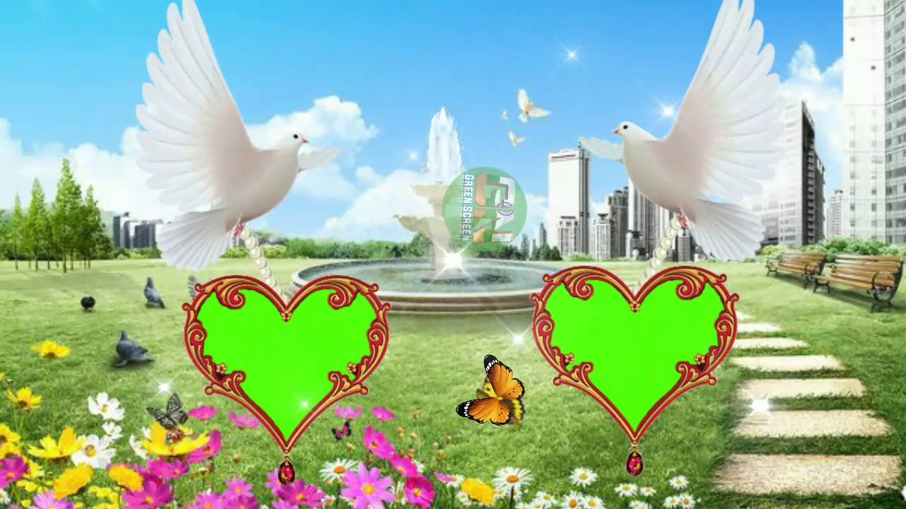 wedding green screen video effects background 2021