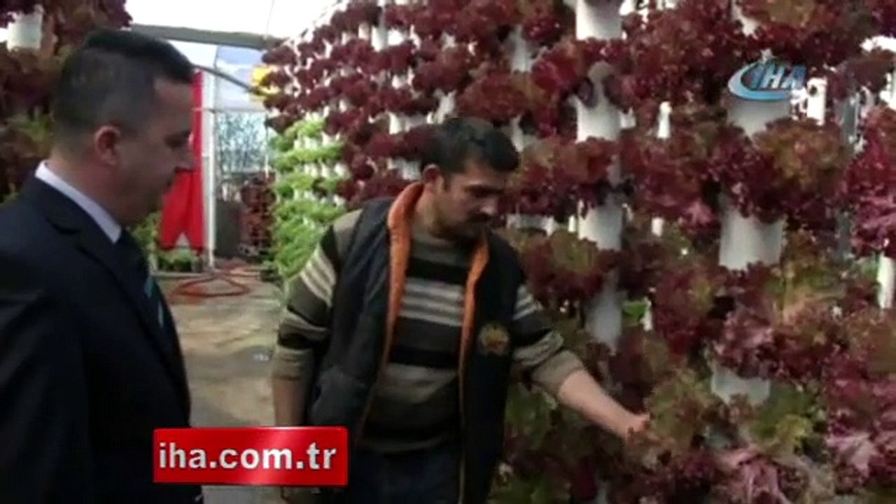 Dikey topraksız tarım ile dokuz dönem ürün alıyor