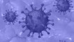Coronavirus latest updates: The good, bad and ugly side of fight against Covid-19