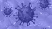 Coronavirus latest updates: The good, bad and ugly side of fight against Covid-19