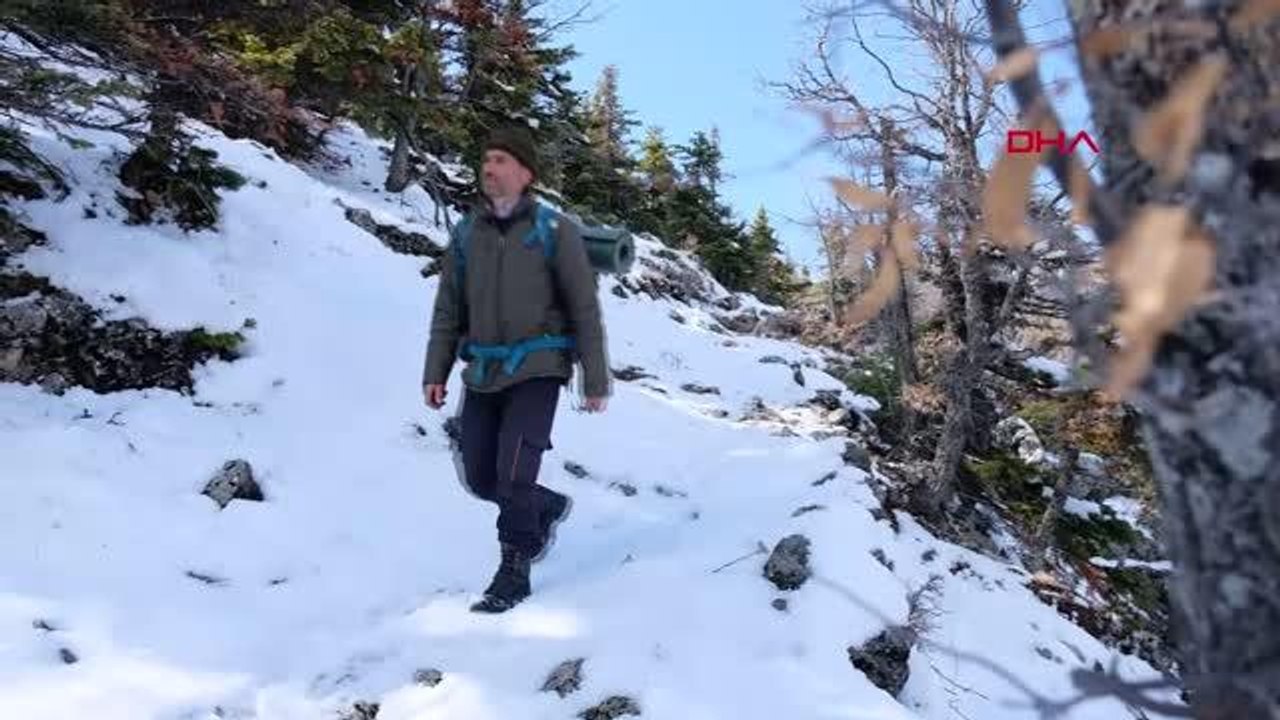 Son dakika haber... KONYA Babası 6 yaşında Toroslar'a bıraktı, 'doğa kahramanı' oldu