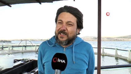 Milyonlarca balık tek tek aşılanıyor